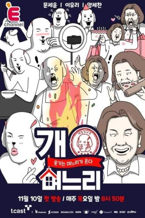 개며느리 TV Show Poster