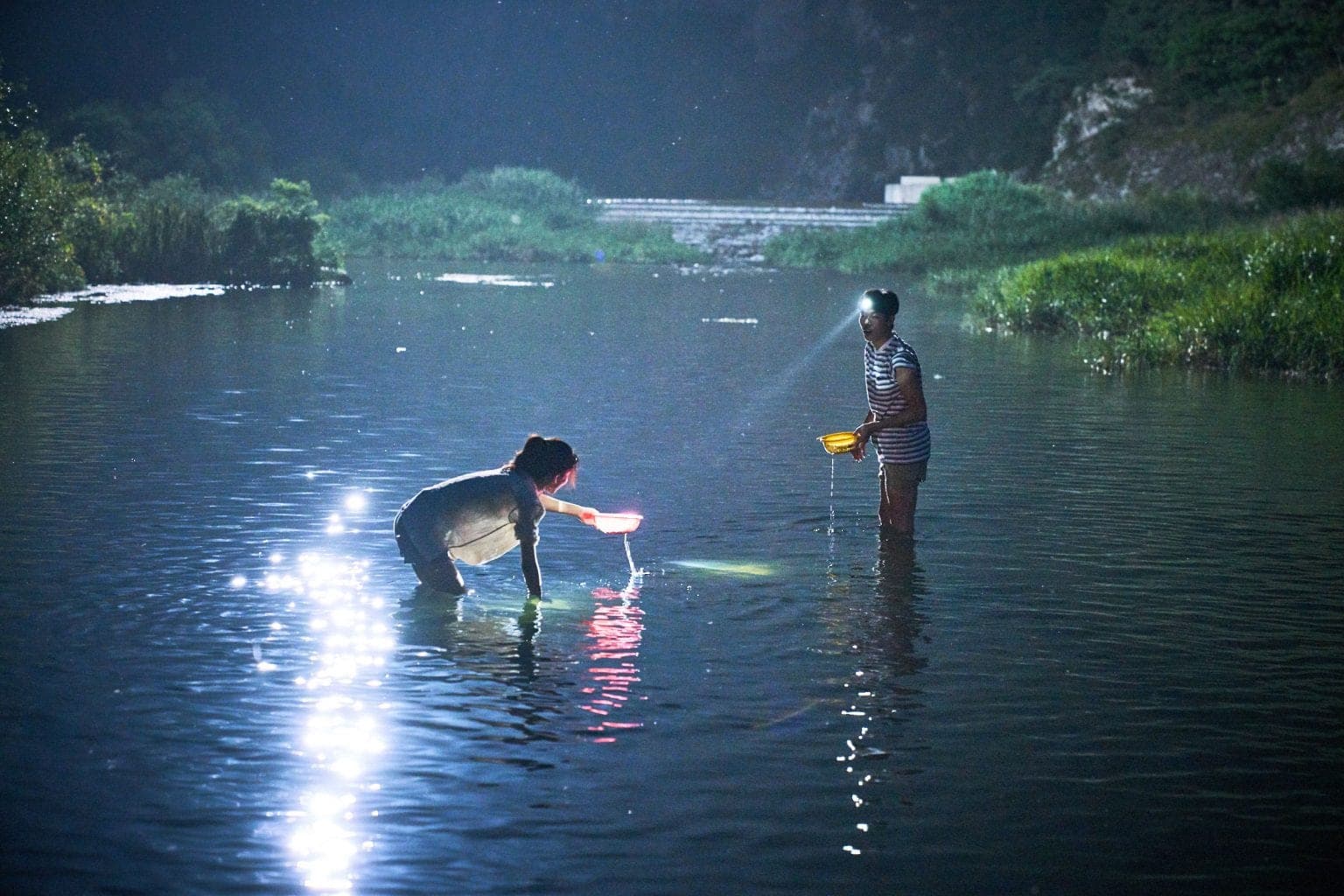 [PICK] Korean Movies that Captured the Beauty of Summer