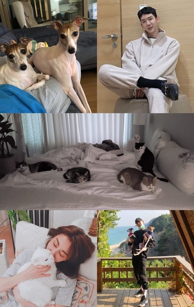 ‘Phone Cleansing’ Kim Wan Sun and Jo Kwon Talks about Taking Care of Their Pets