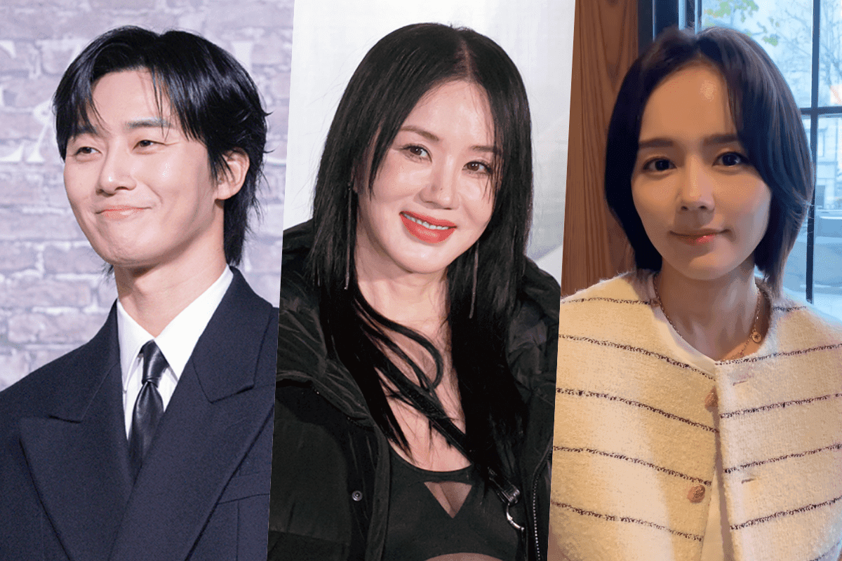 Park Seo Joon, Uhm Jung Hwa &#038; Han Ga In: From Underdogs to Top Stars