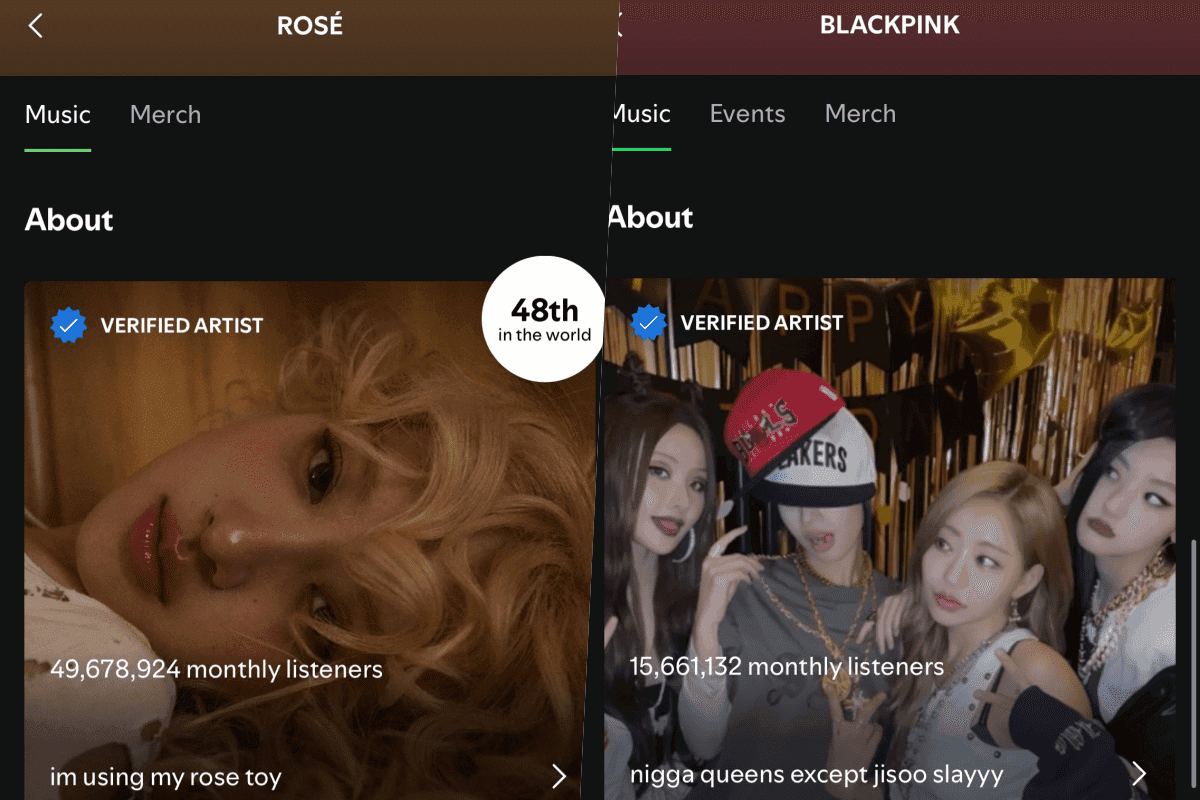 BLACKPINK’s Spotify Hacked and Racist Comments Found In Bio