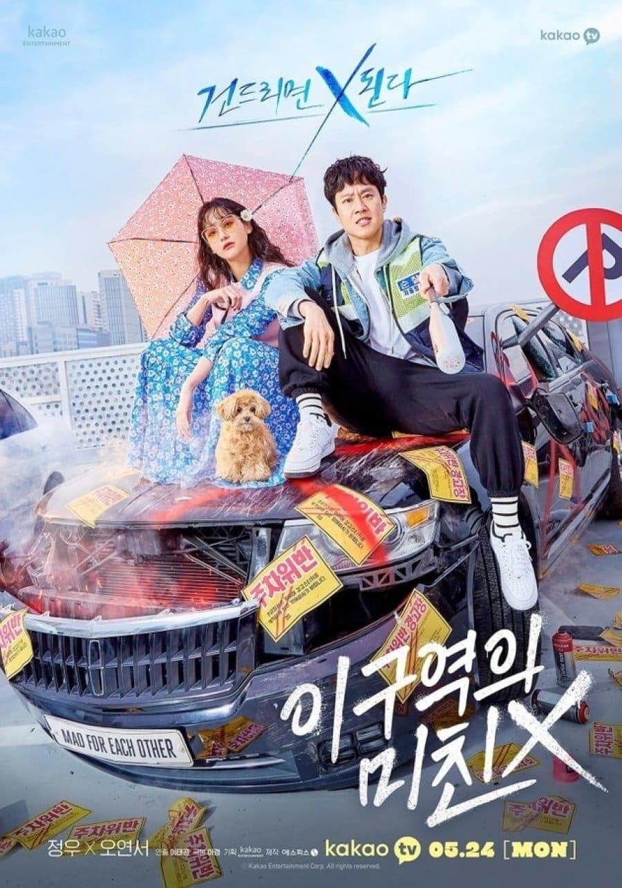 Mad for Each Other TV Show Poster