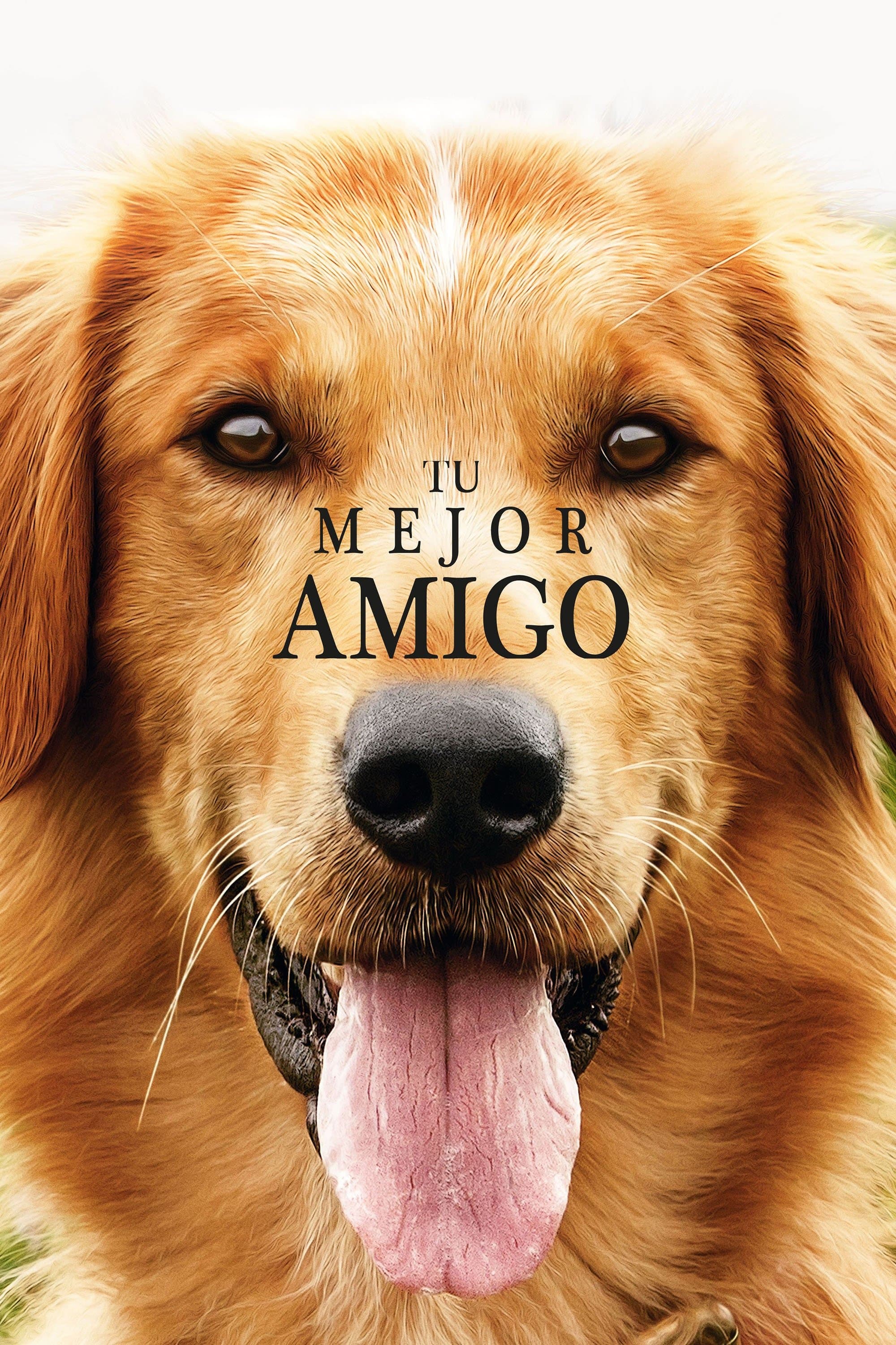 A Dog's Purpose Movie Poster