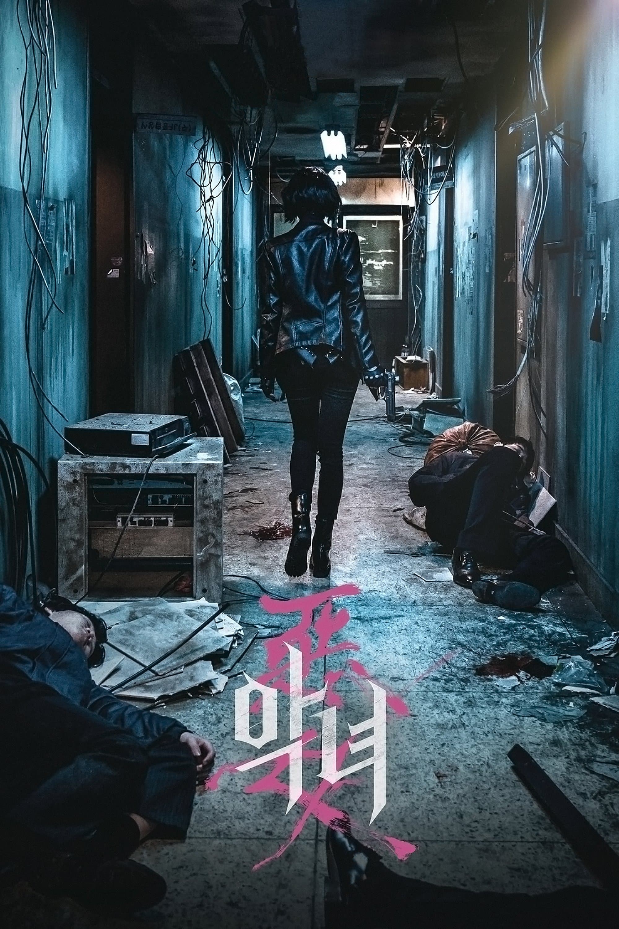 The Villainess Movie Poster