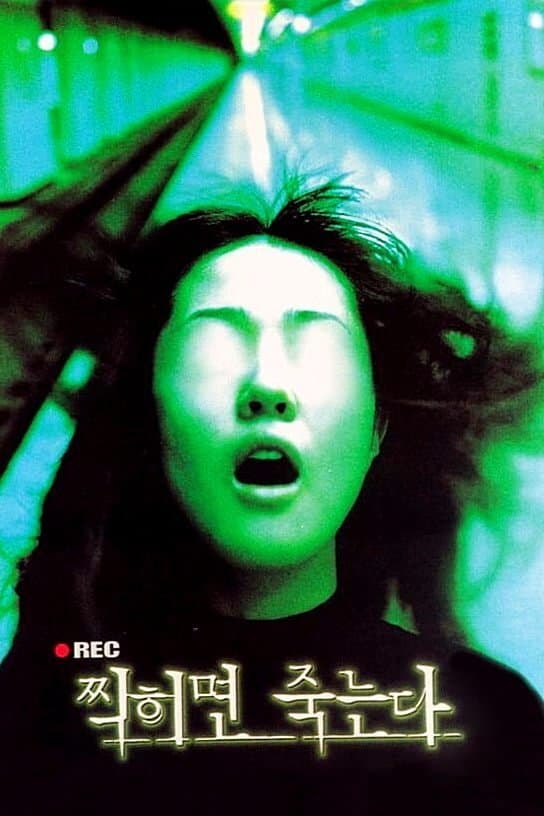 null Movie Poster
