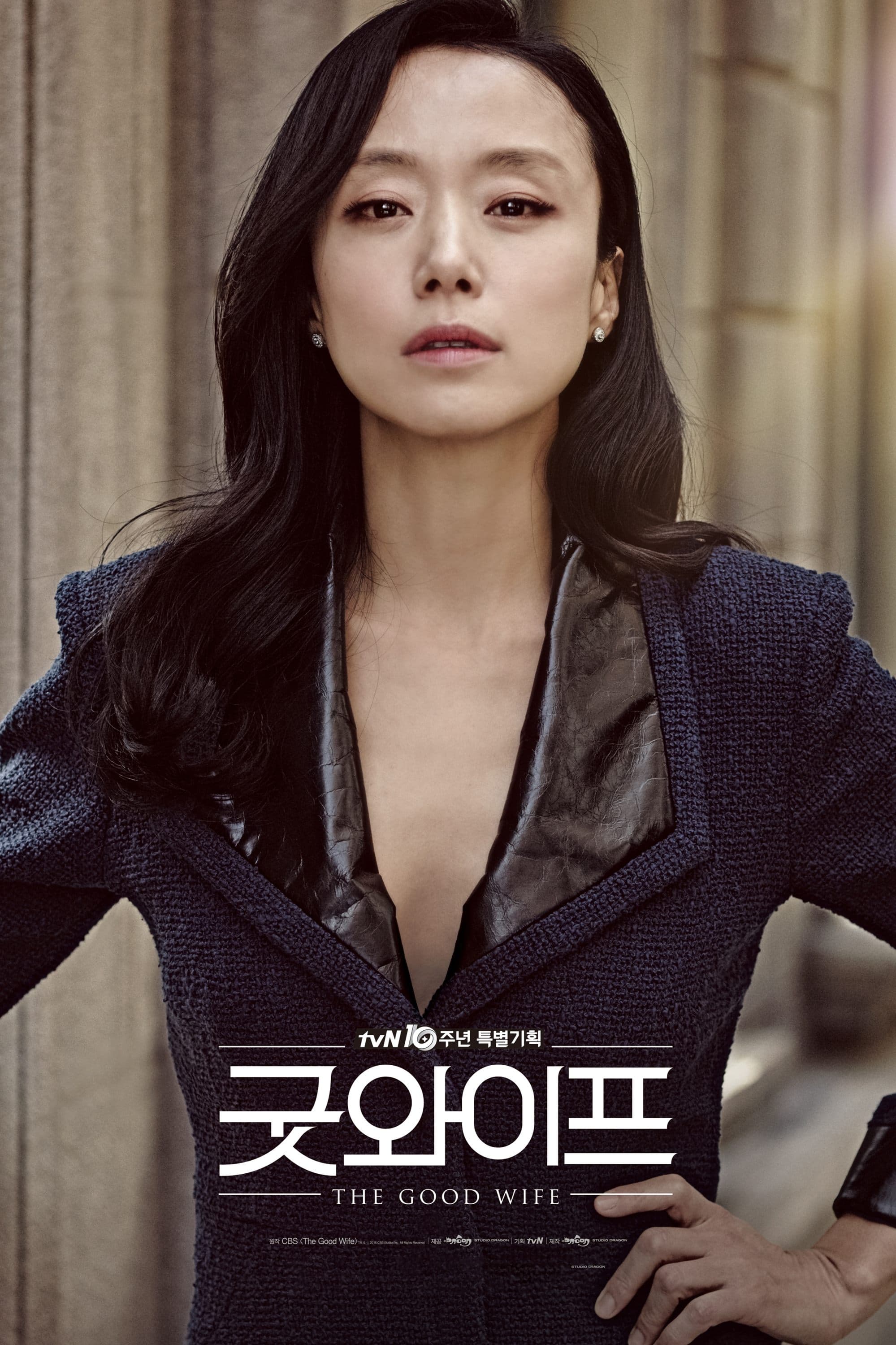 The Good Wife TV Show Poster