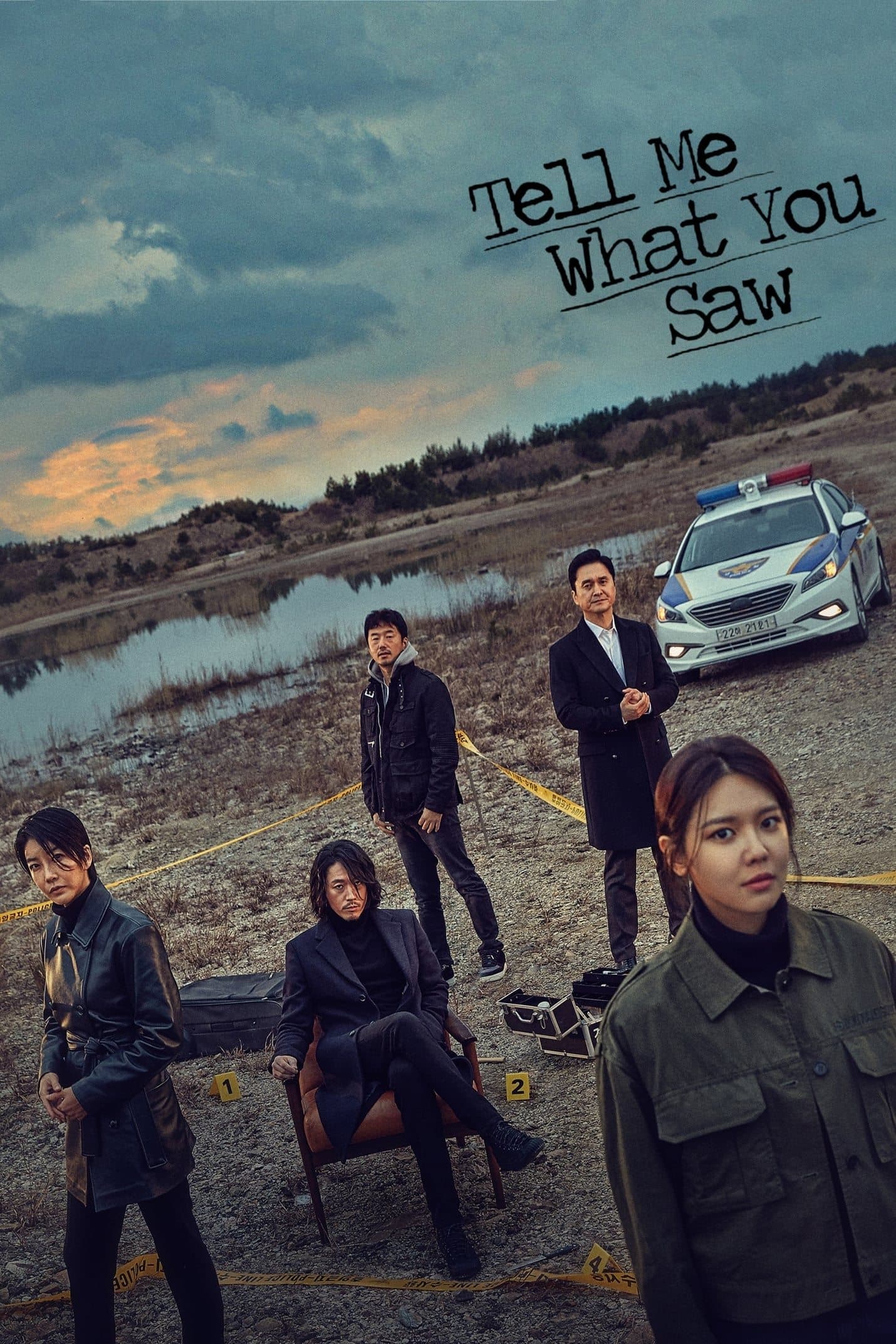 Tell Me What You Saw TV Show Poster