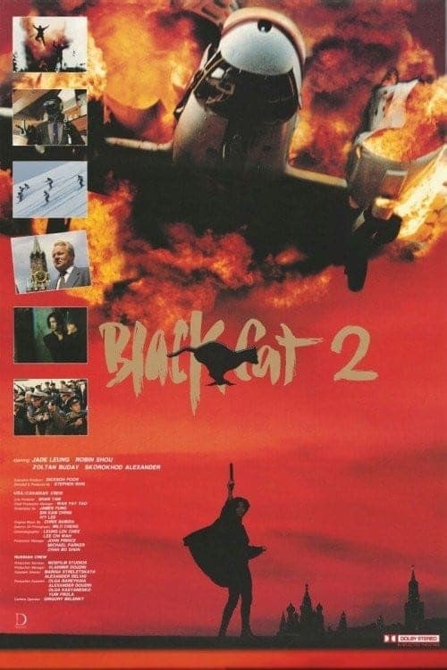Black Cat II Movie Poster