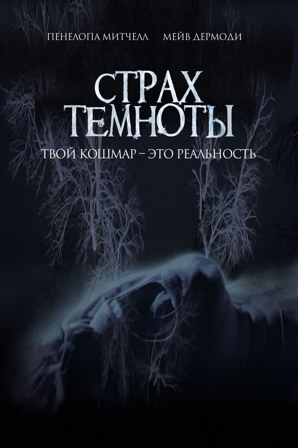 The Fear of Darkness Movie Poster