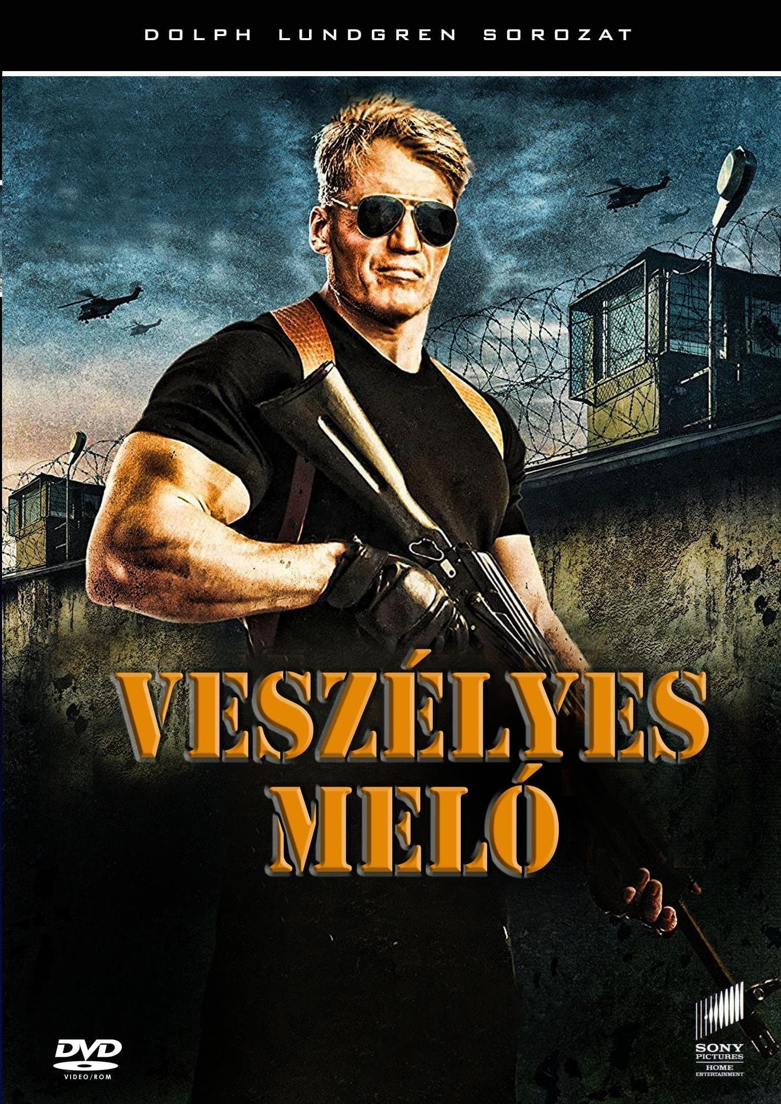 Larceny Movie Poster