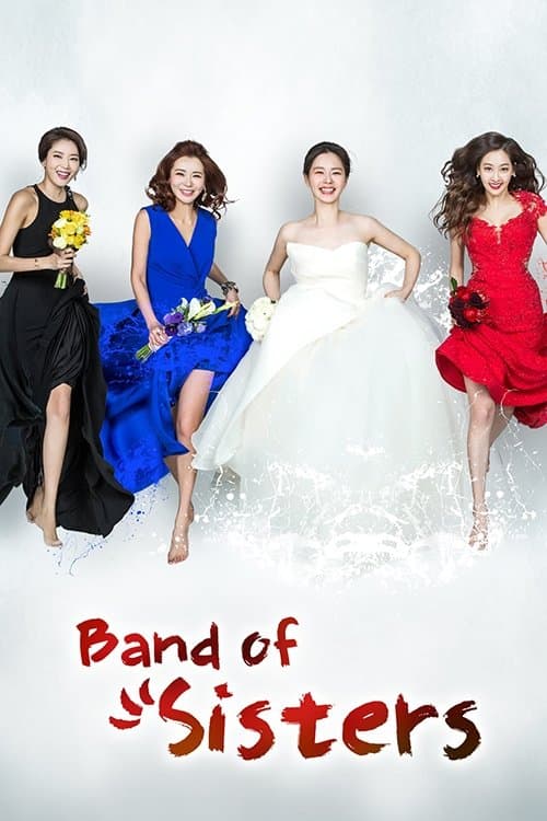 Band of Sisters TV Show Poster
