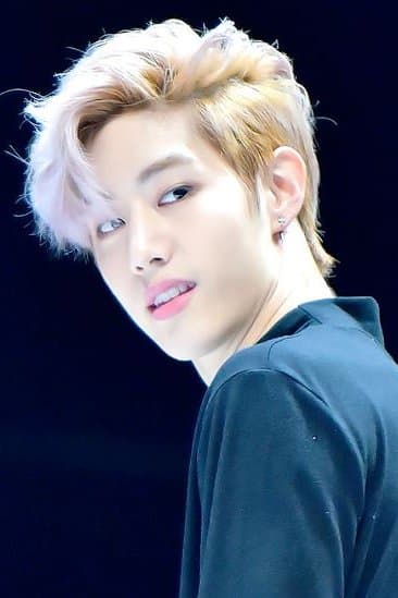 Mark Tuan Profile Photo