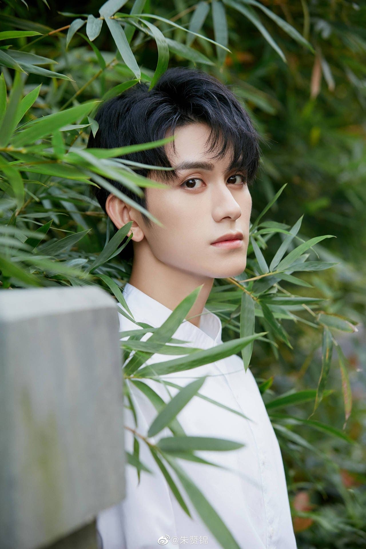 Zhu Zanjin Profile Photo