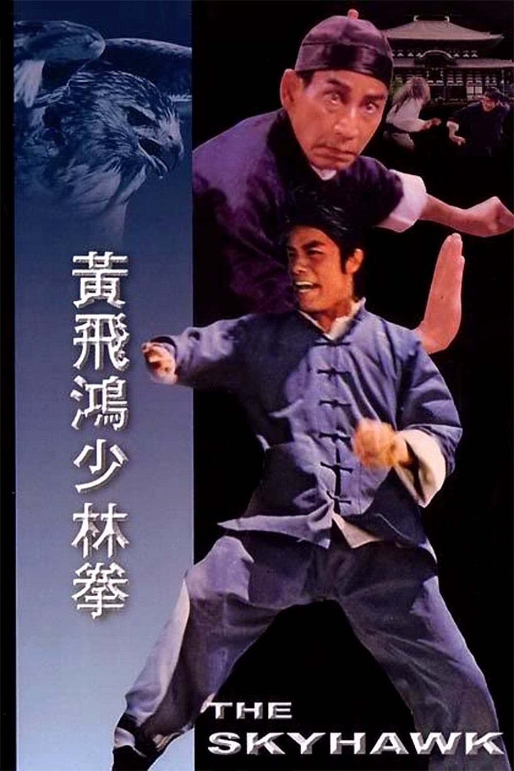 The Skyhawk Movie Poster