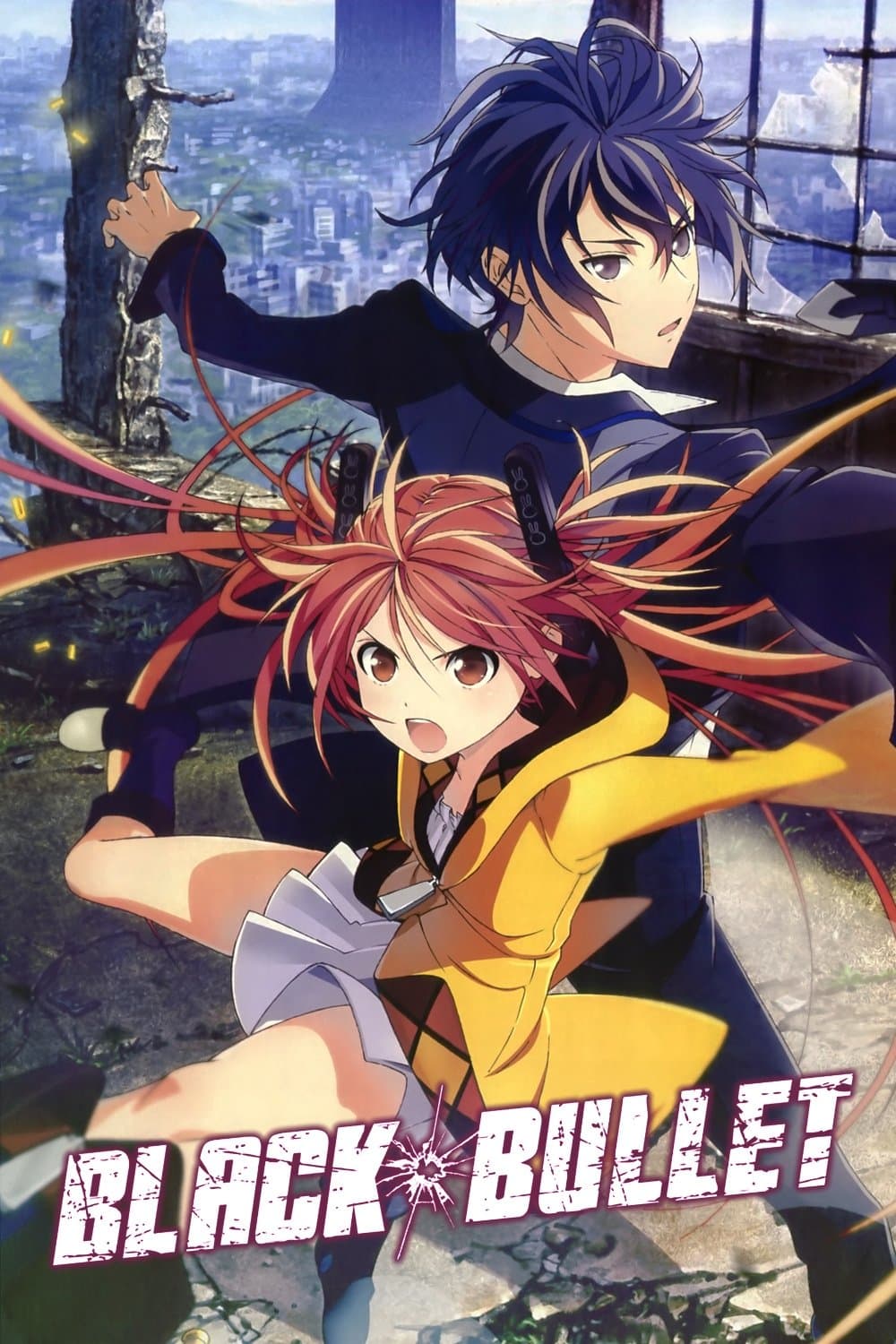 Black Bullet TV Show Poster