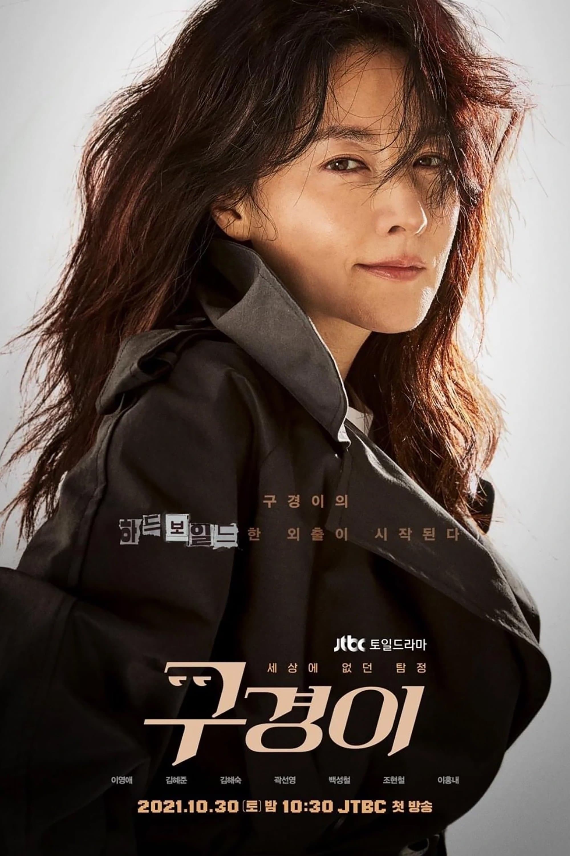 Inspector Koo TV Show Poster