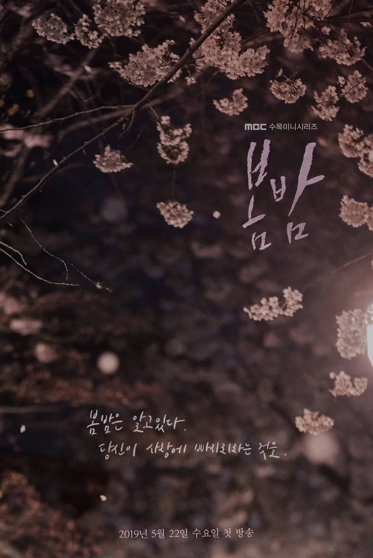 One Spring Night TV Show Poster