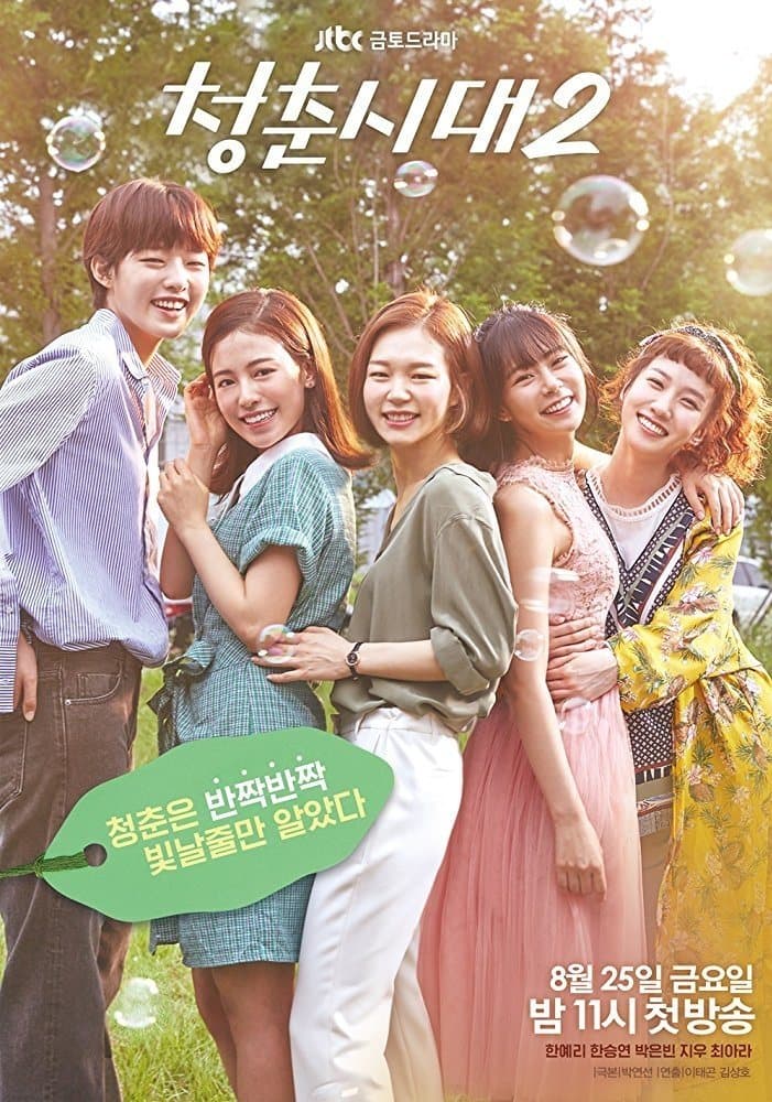 Hello, My Twenties! TV Show Poster