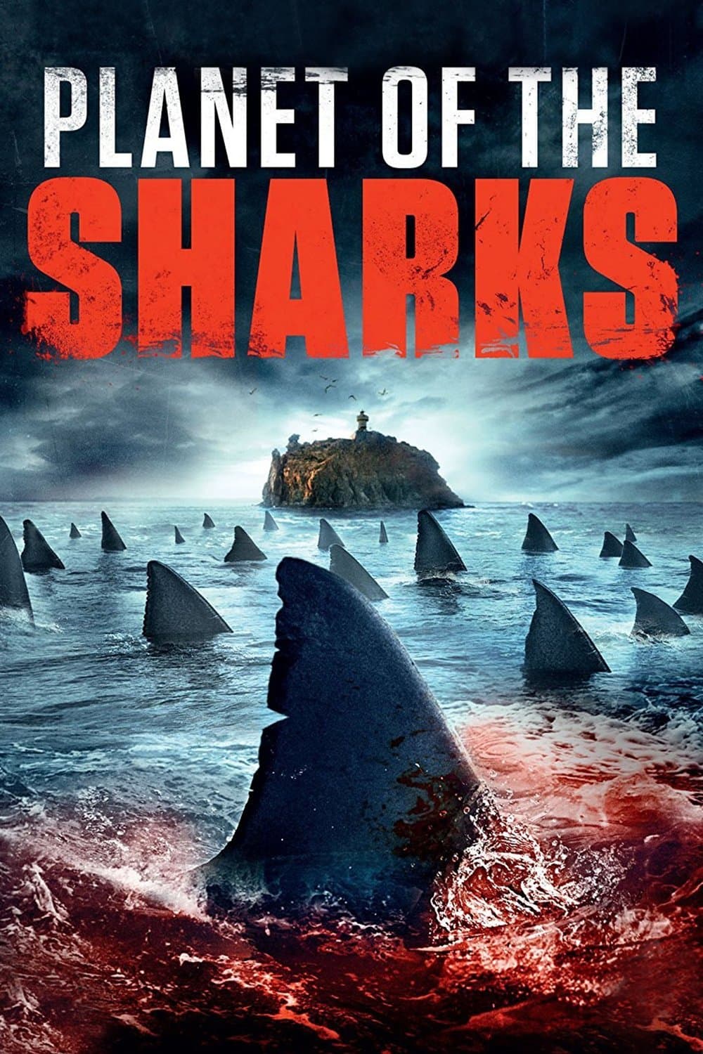 null Movie Poster