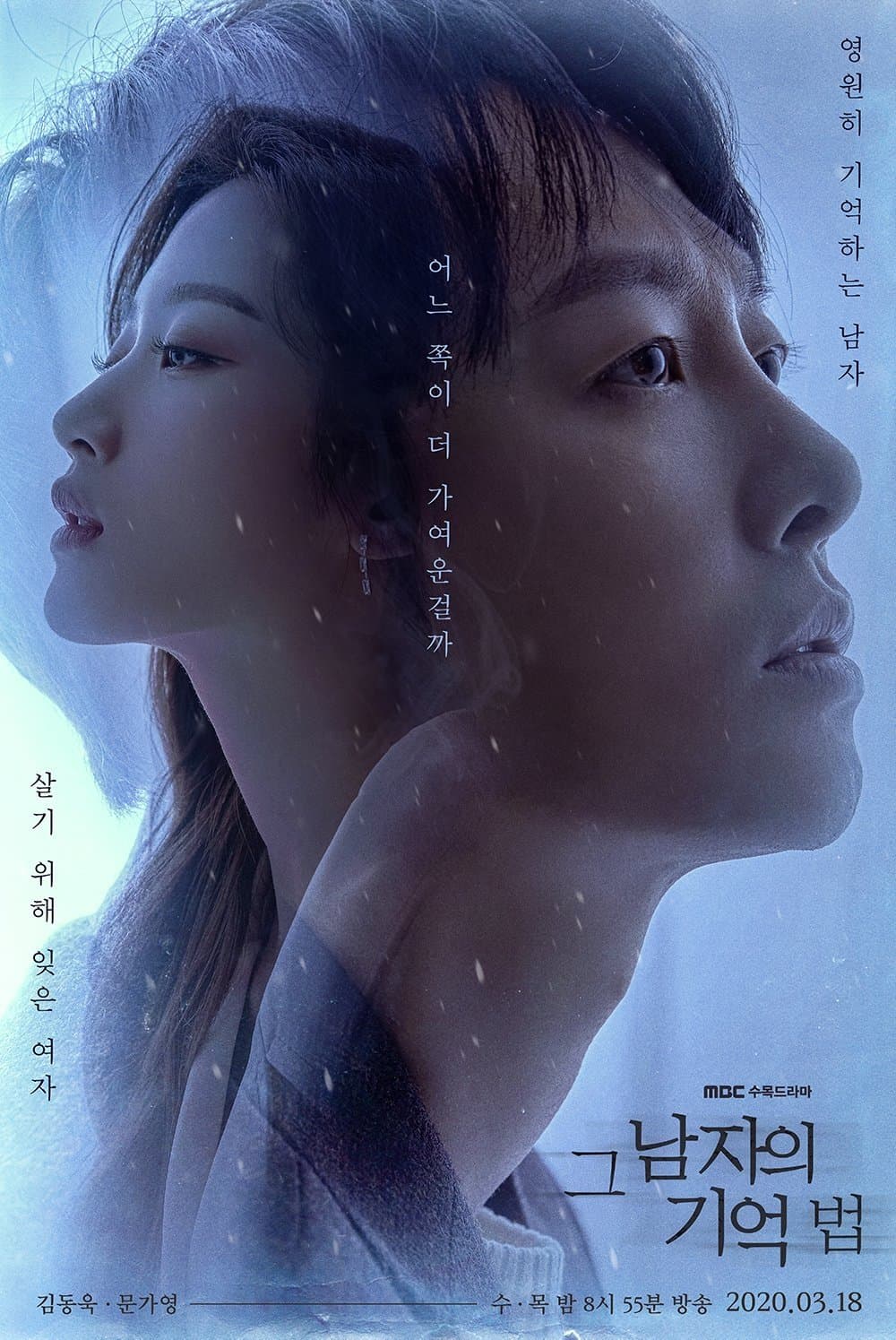 Find Me in Your Memory TV Show Poster