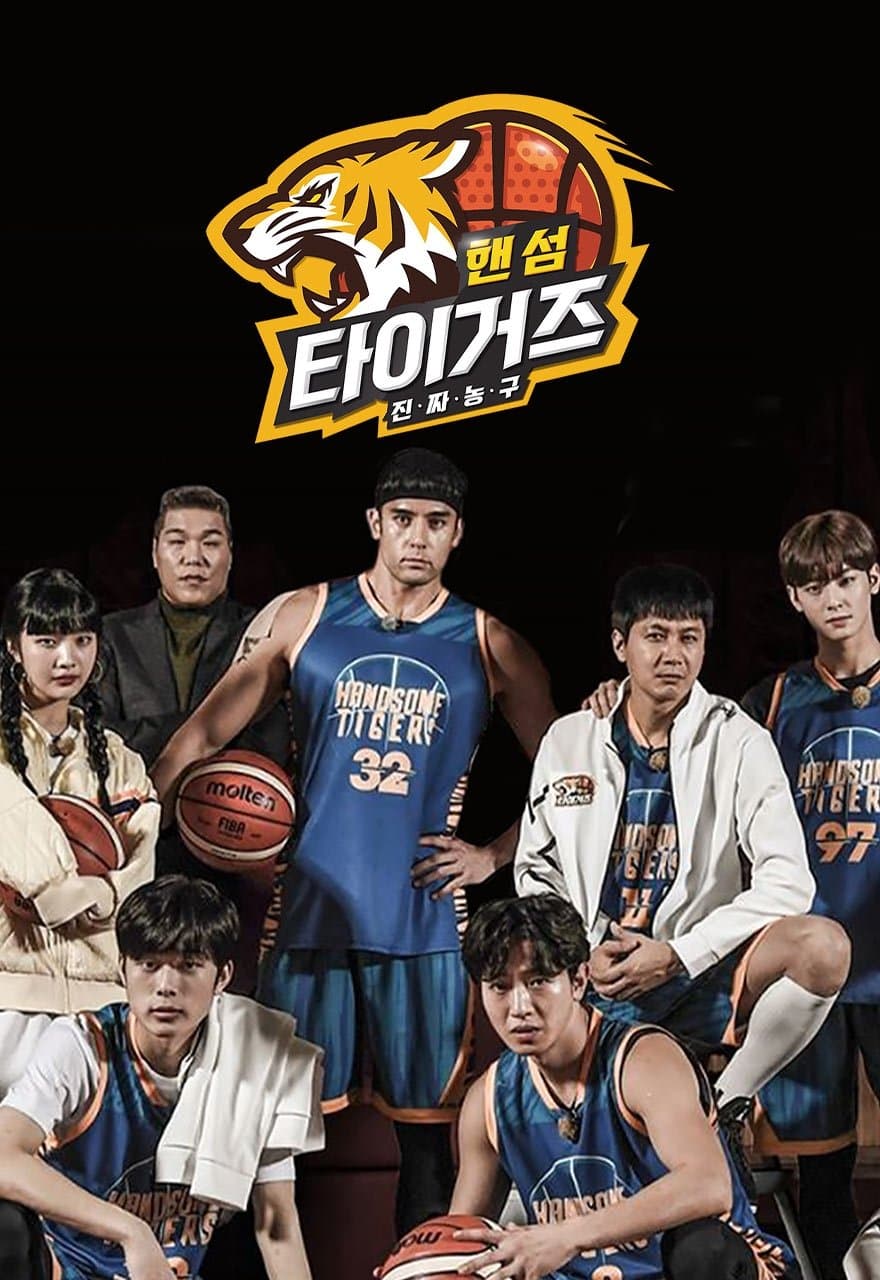 Handsome Tigers TV Show Poster