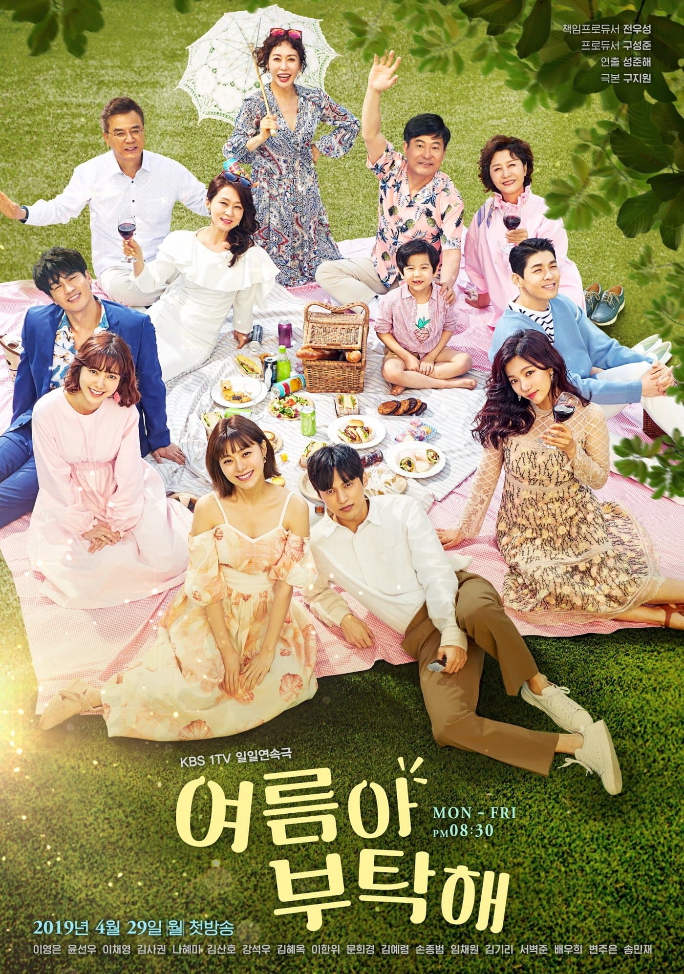 Home for Summer TV Show Poster