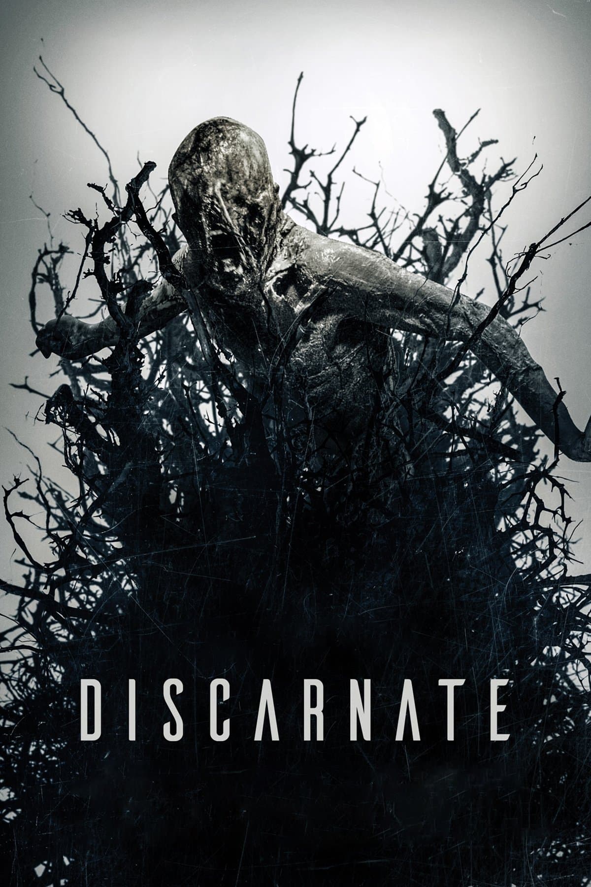 null Movie Poster