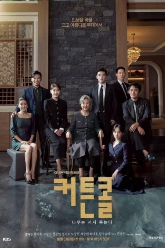 Curtain Call TV Show Poster