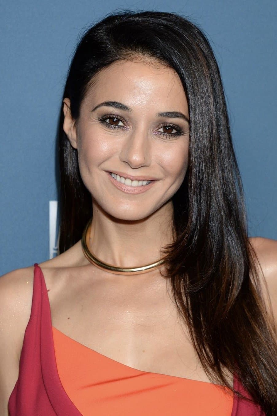 Emmanuelle Chriqui Profile Photo