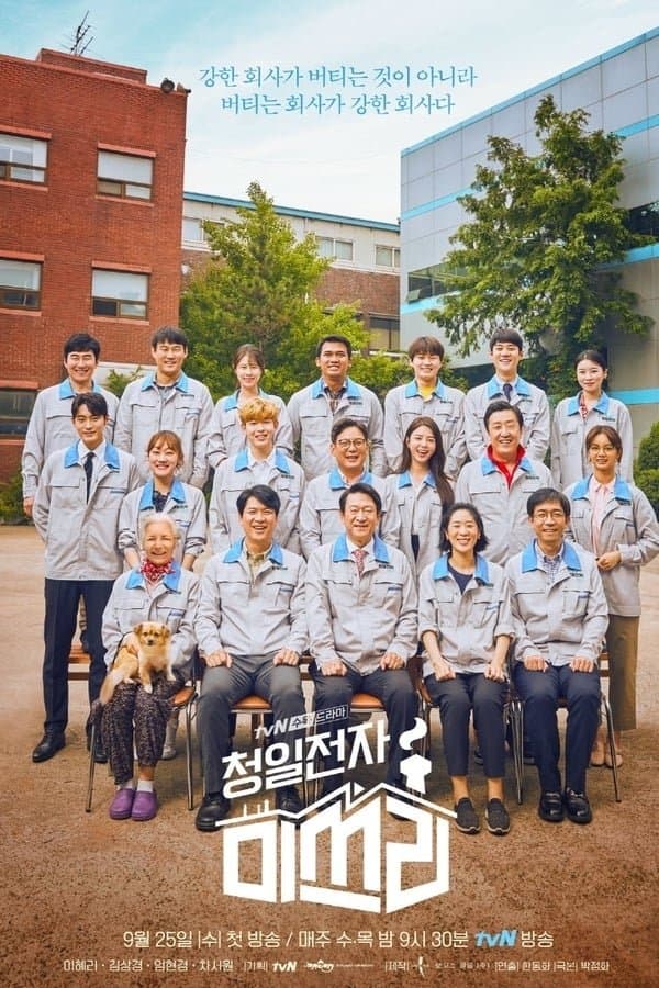 Miss Lee TV Show Poster