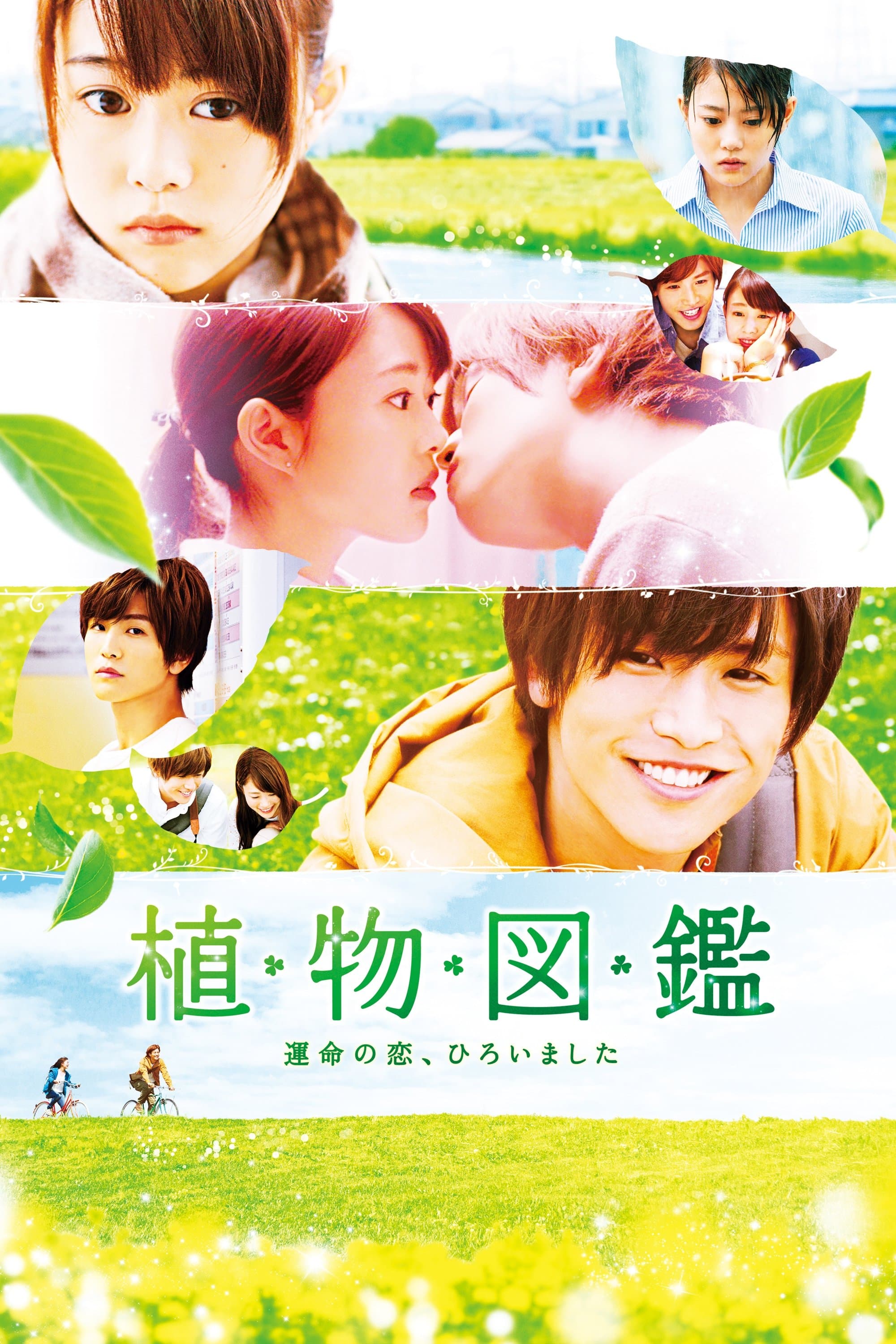 Evergreen Love Movie Poster