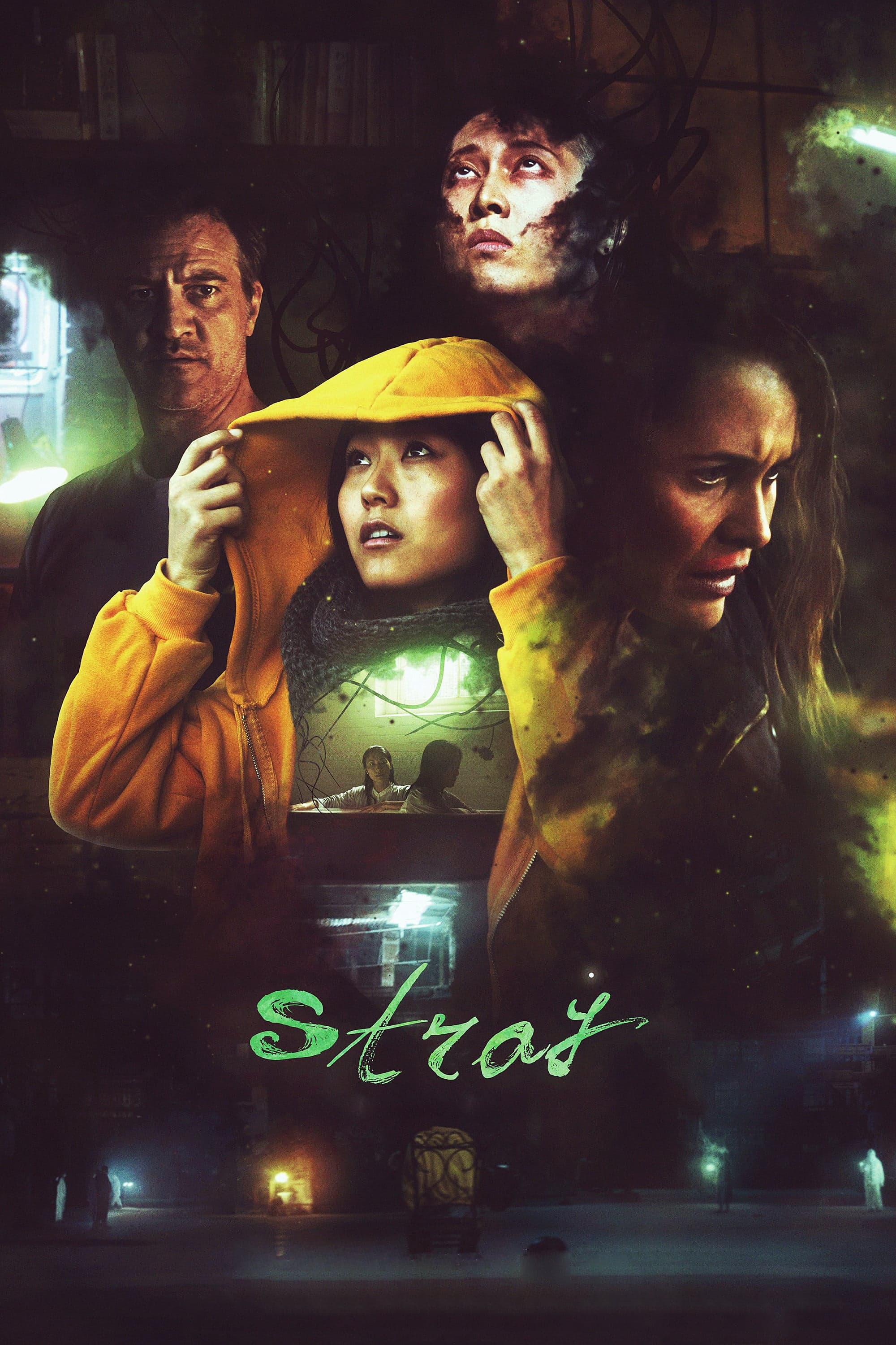 Stray Movie Poster