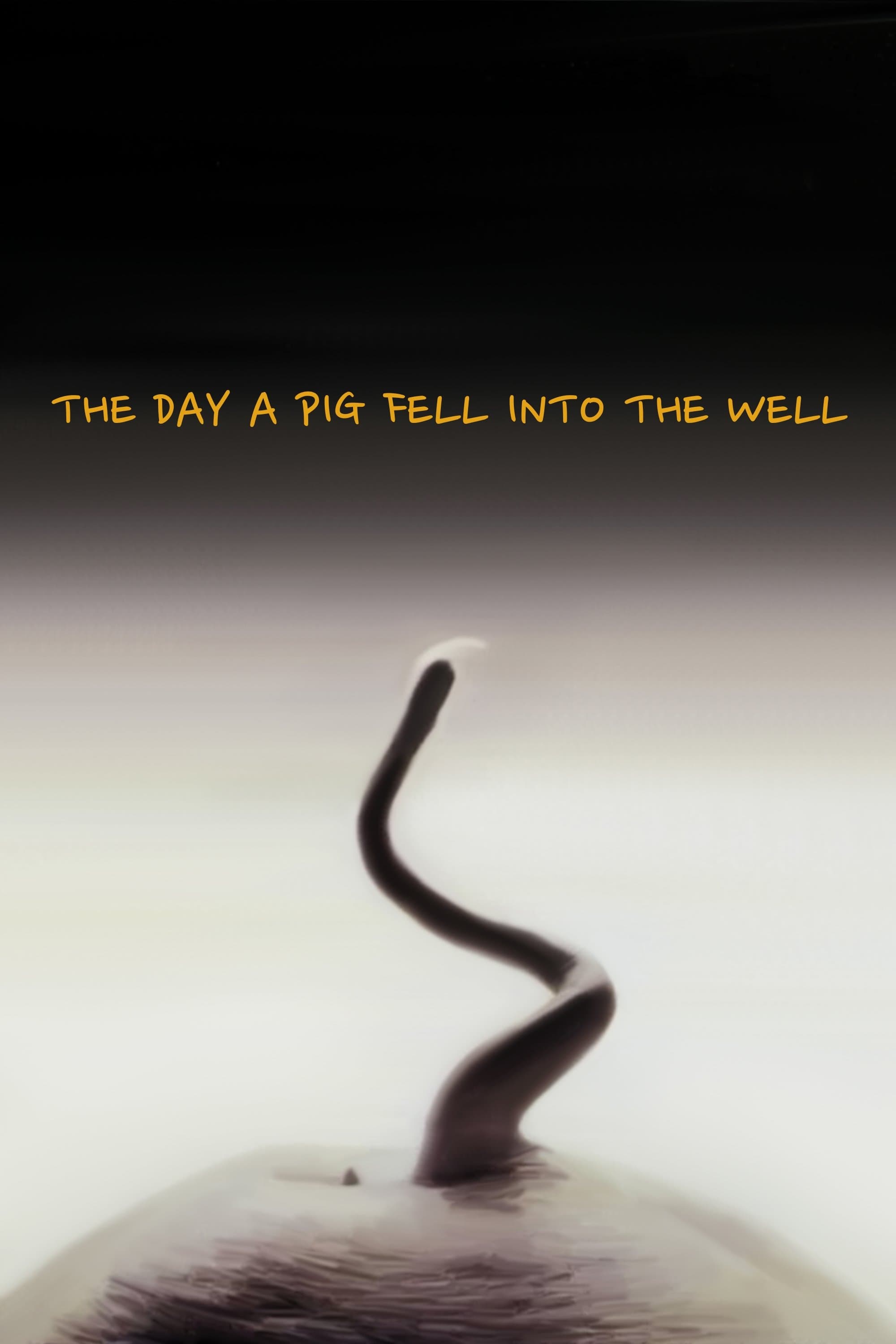 null Movie Poster