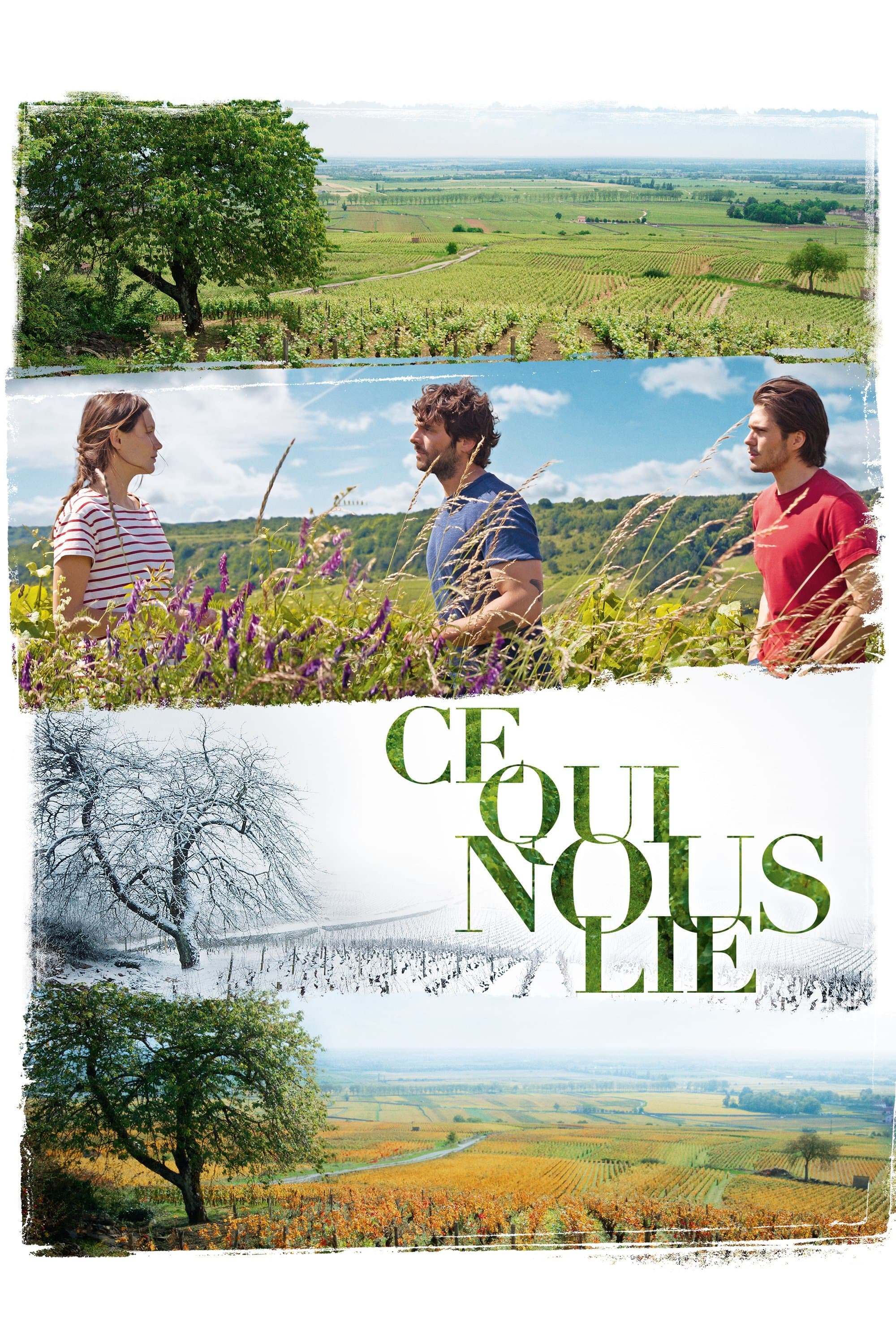 Back to Burgundy Movie Poster