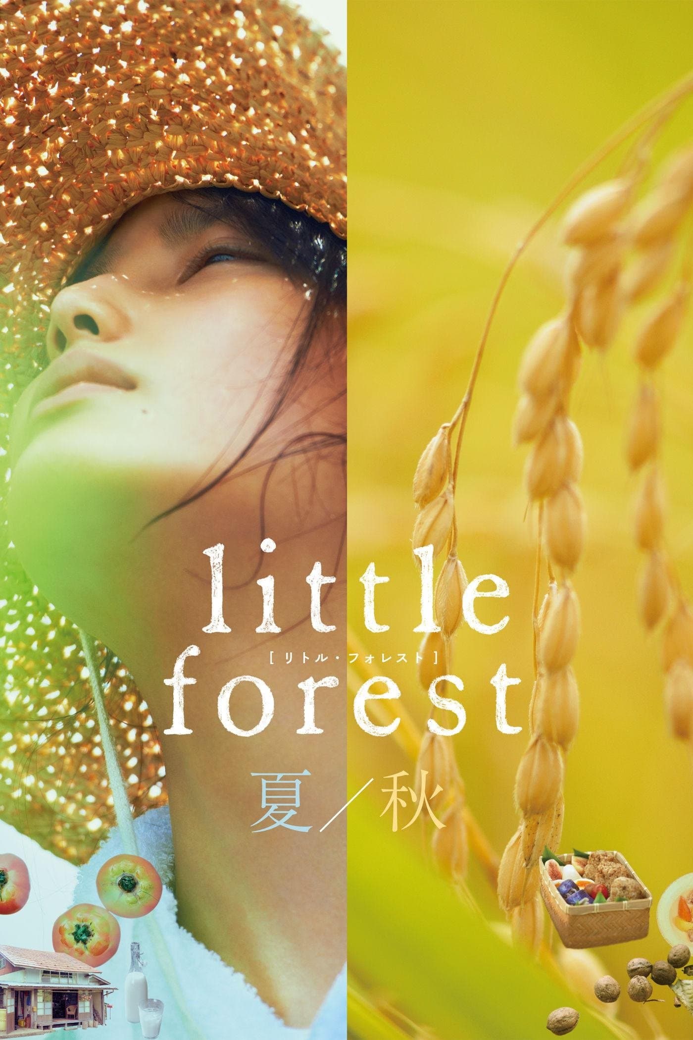 Little Forest: Summer/Autumn Movie Poster