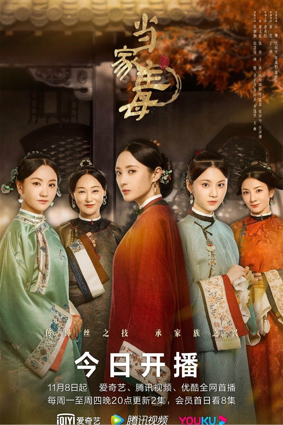 Marvelous Woman TV Show Poster