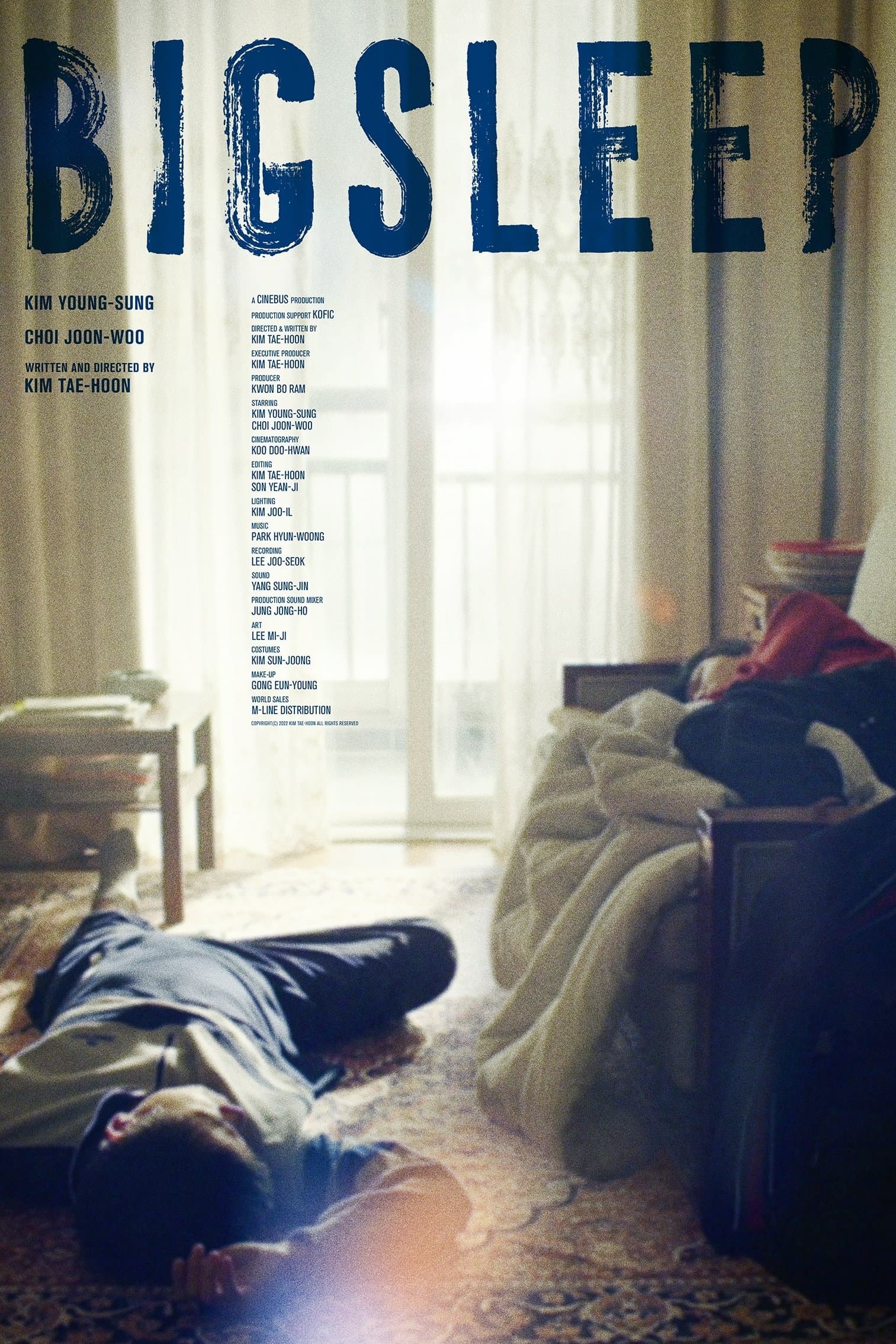 Big Sleep Movie Poster