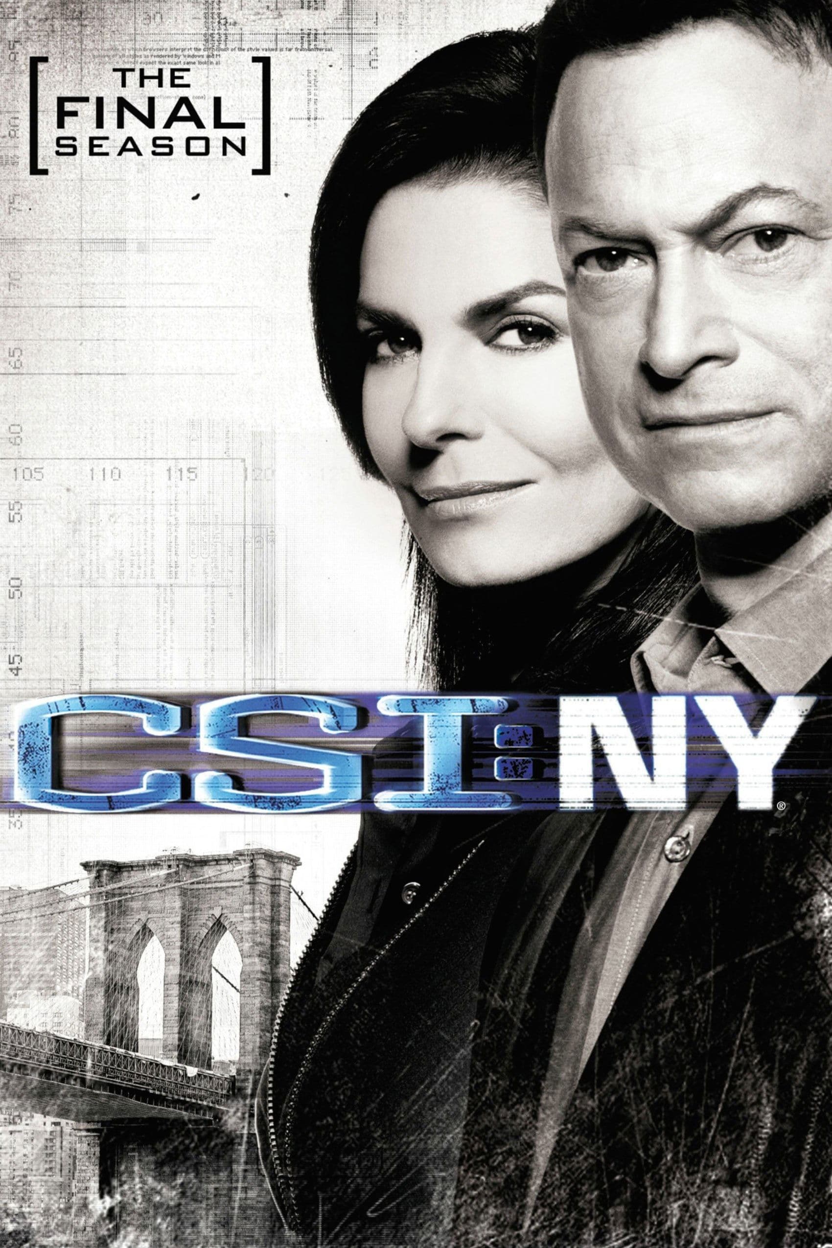 CSI: NY TV Show Poster