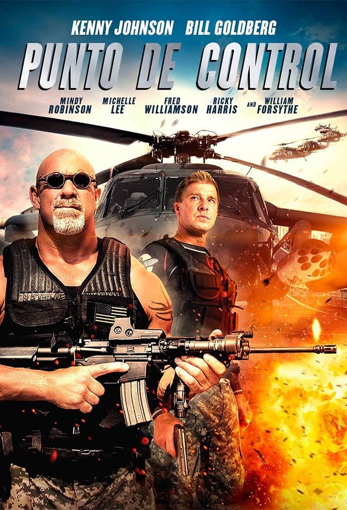 Check Point Movie Poster
