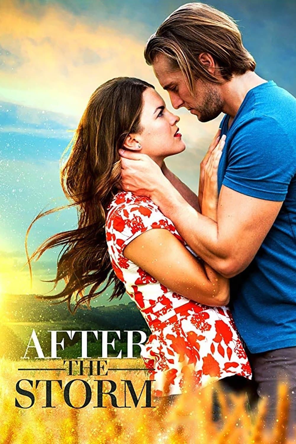 After the Storm Movie Poster