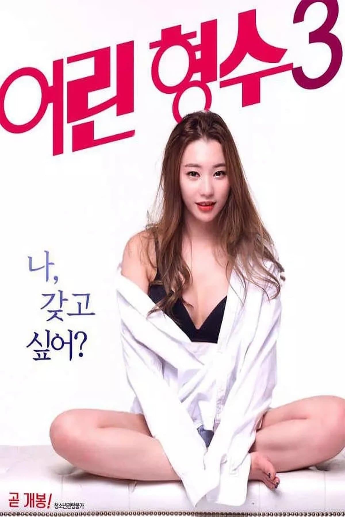 Young Sister-in-Law 3 Movie Poster