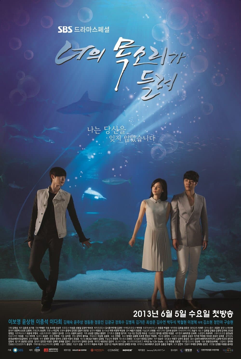 I Hear Your Voice TV Show Poster