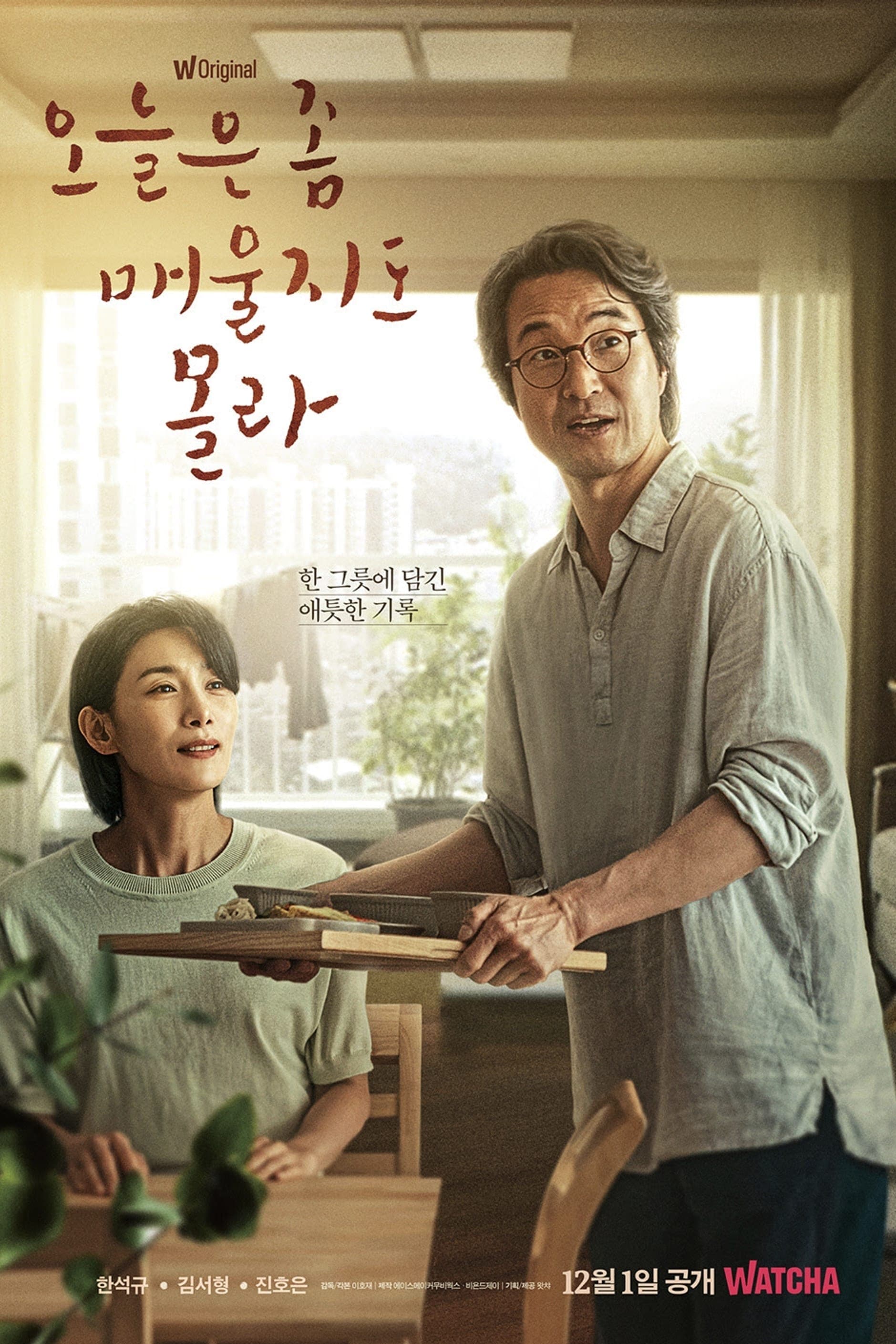Recipe for Farewell TV Show Poster