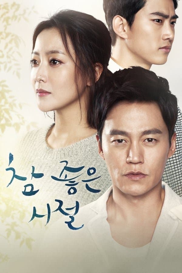 Wonderful Days TV Show Poster
