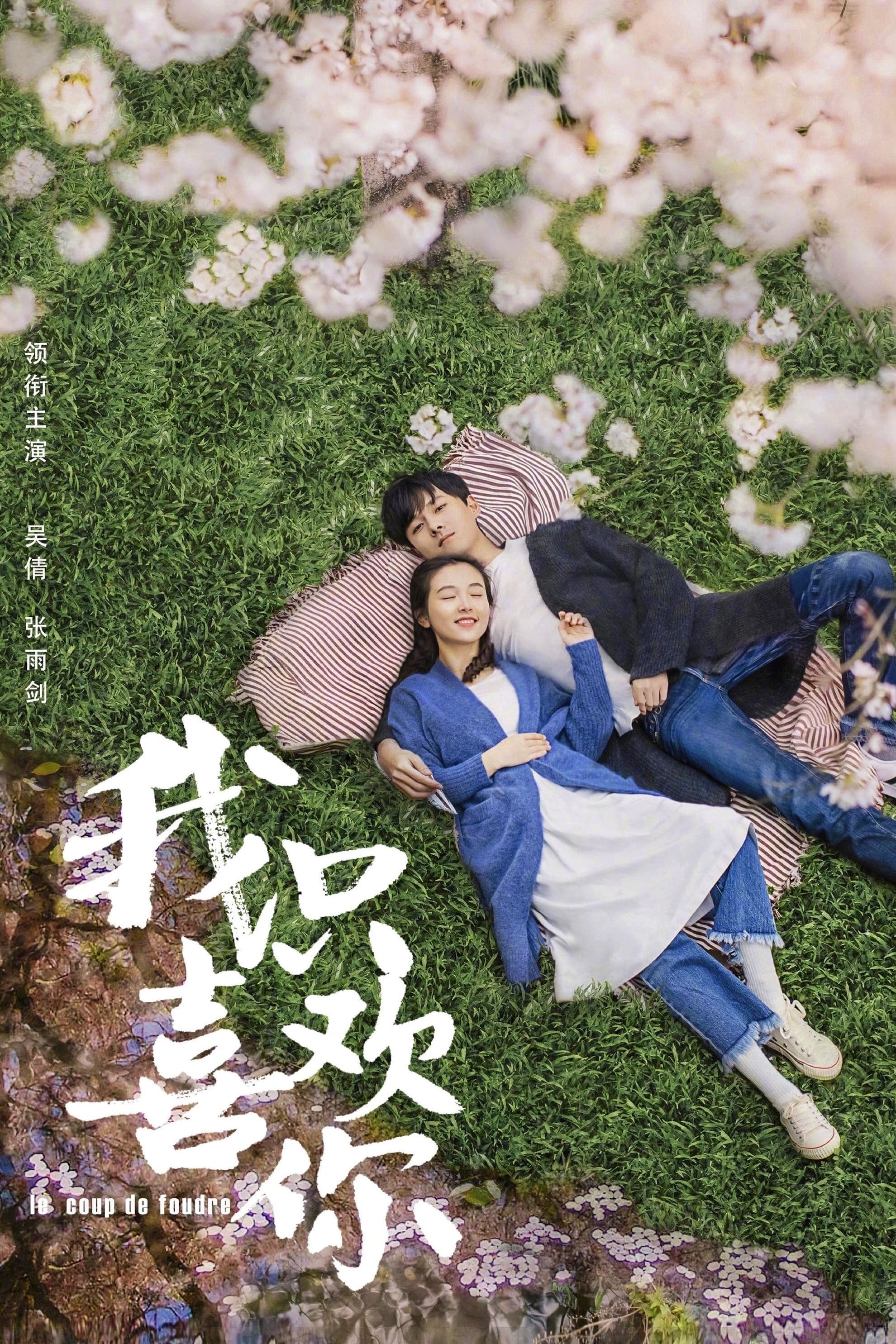 Le Coup de Foudre TV Show Poster