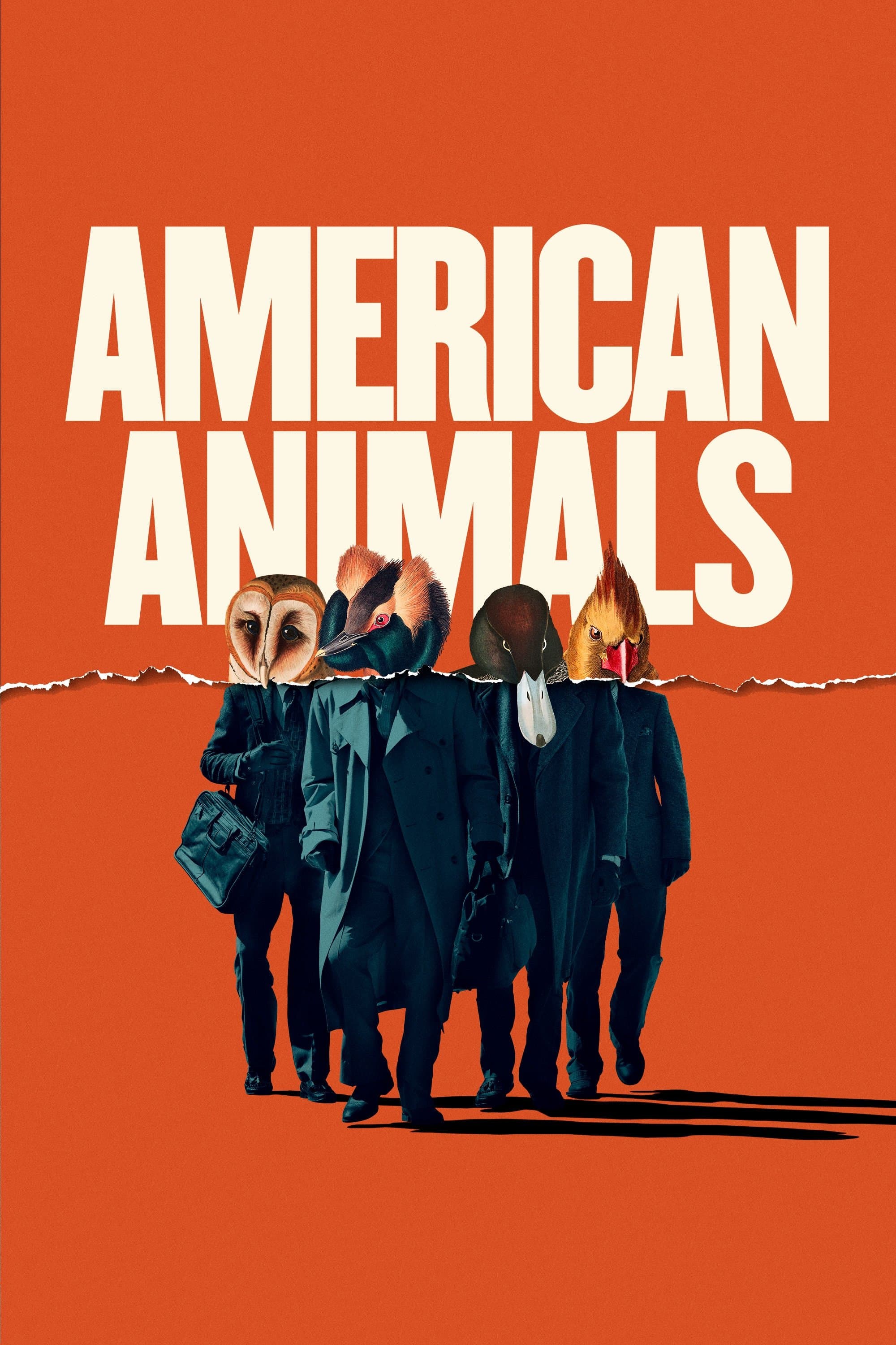 American Animals Movie Poster