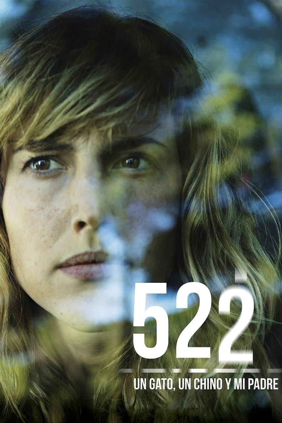 522. A Cat, a Chinese Guy and My Father Movie Poster