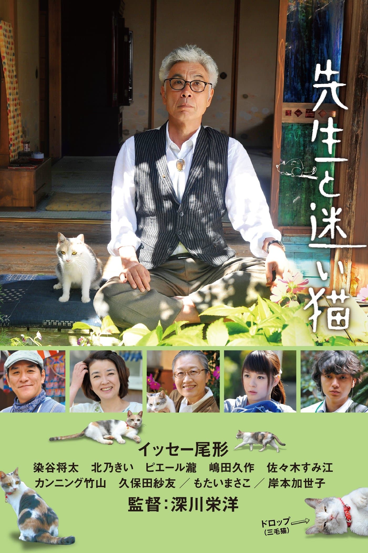 Teacher and Stray Cat Movie Poster