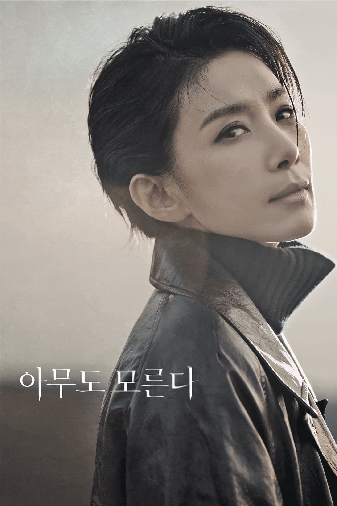 Nobody Knows TV Show Poster