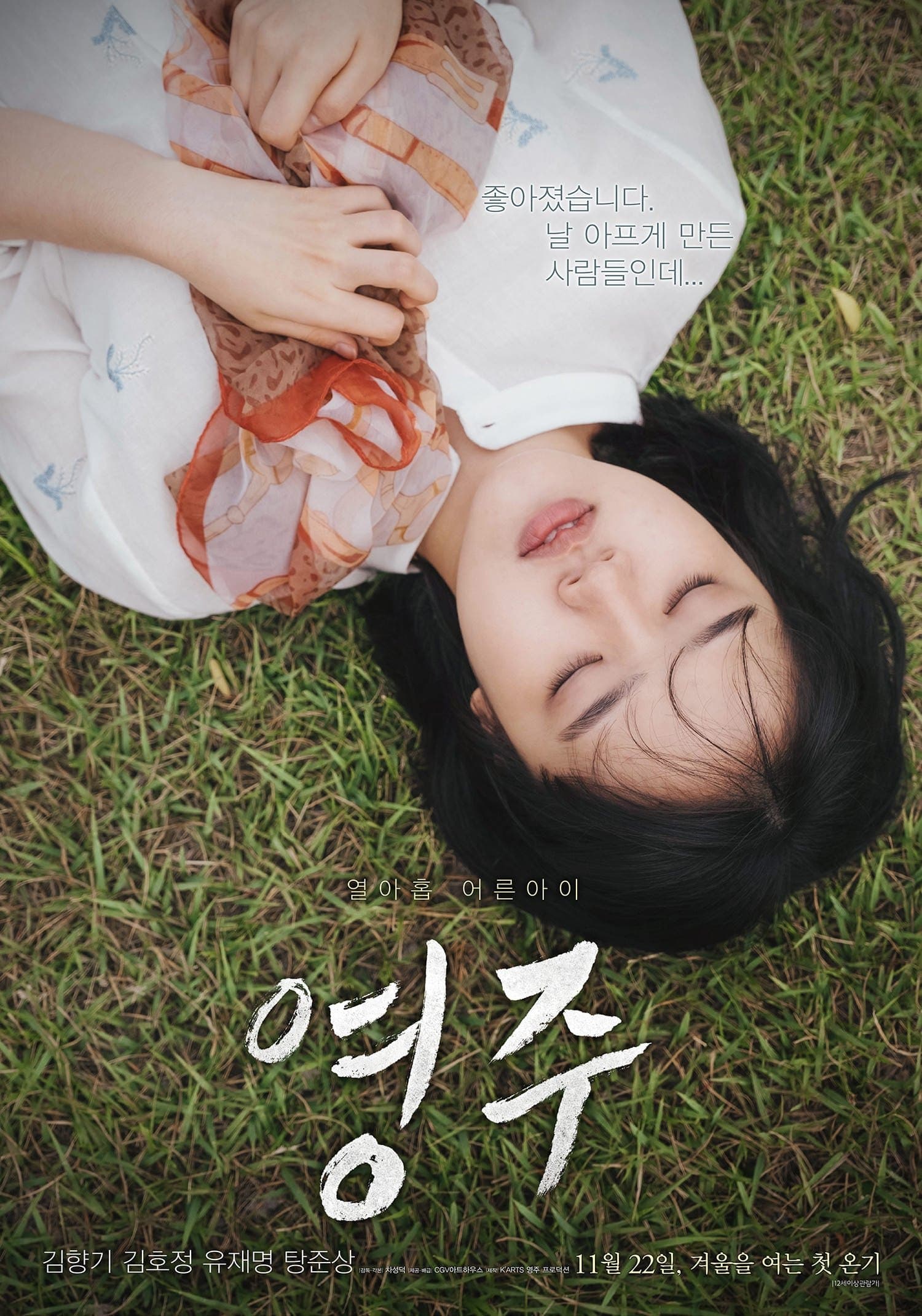 null Movie Poster